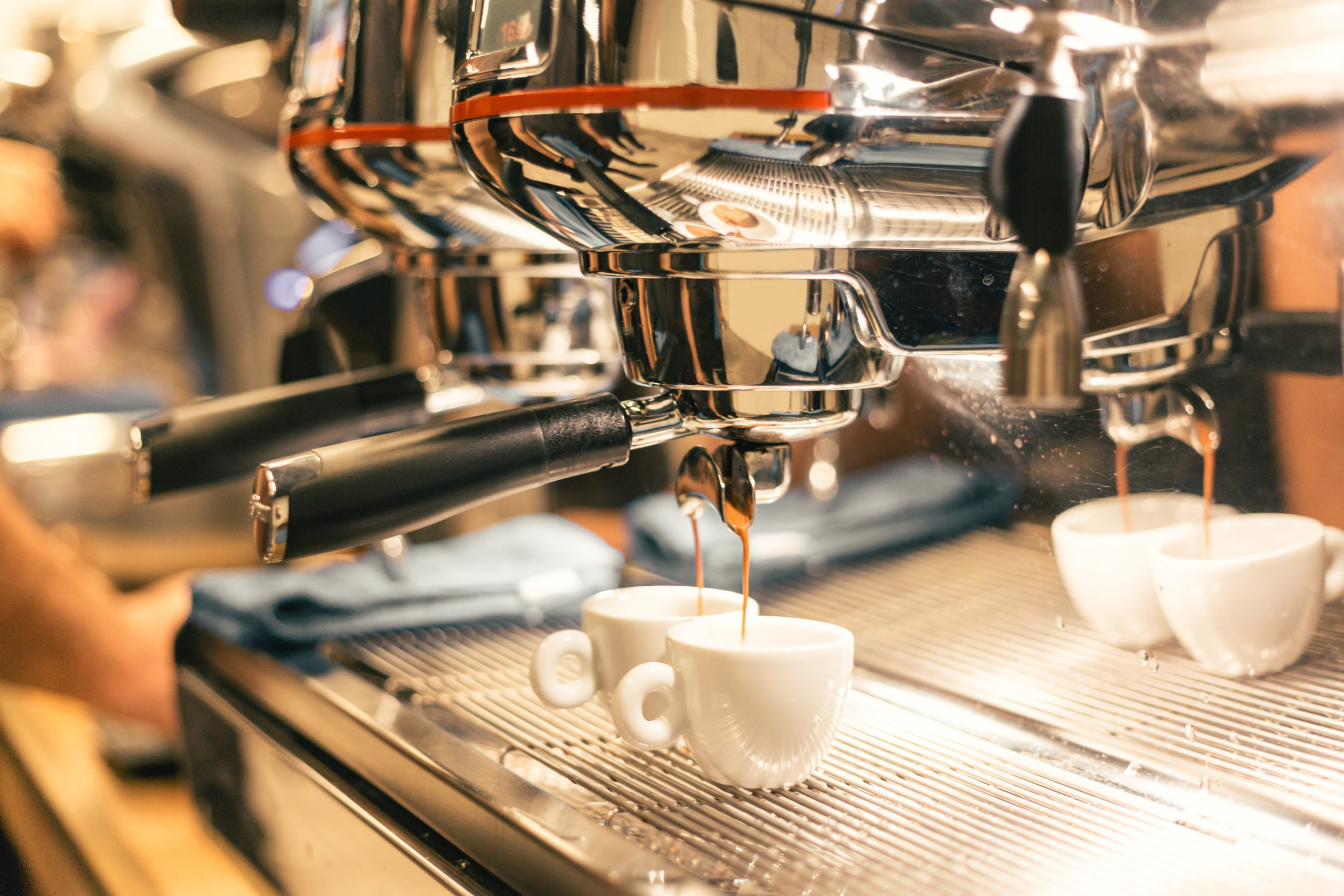 Kahveye dair her şey MSA’da