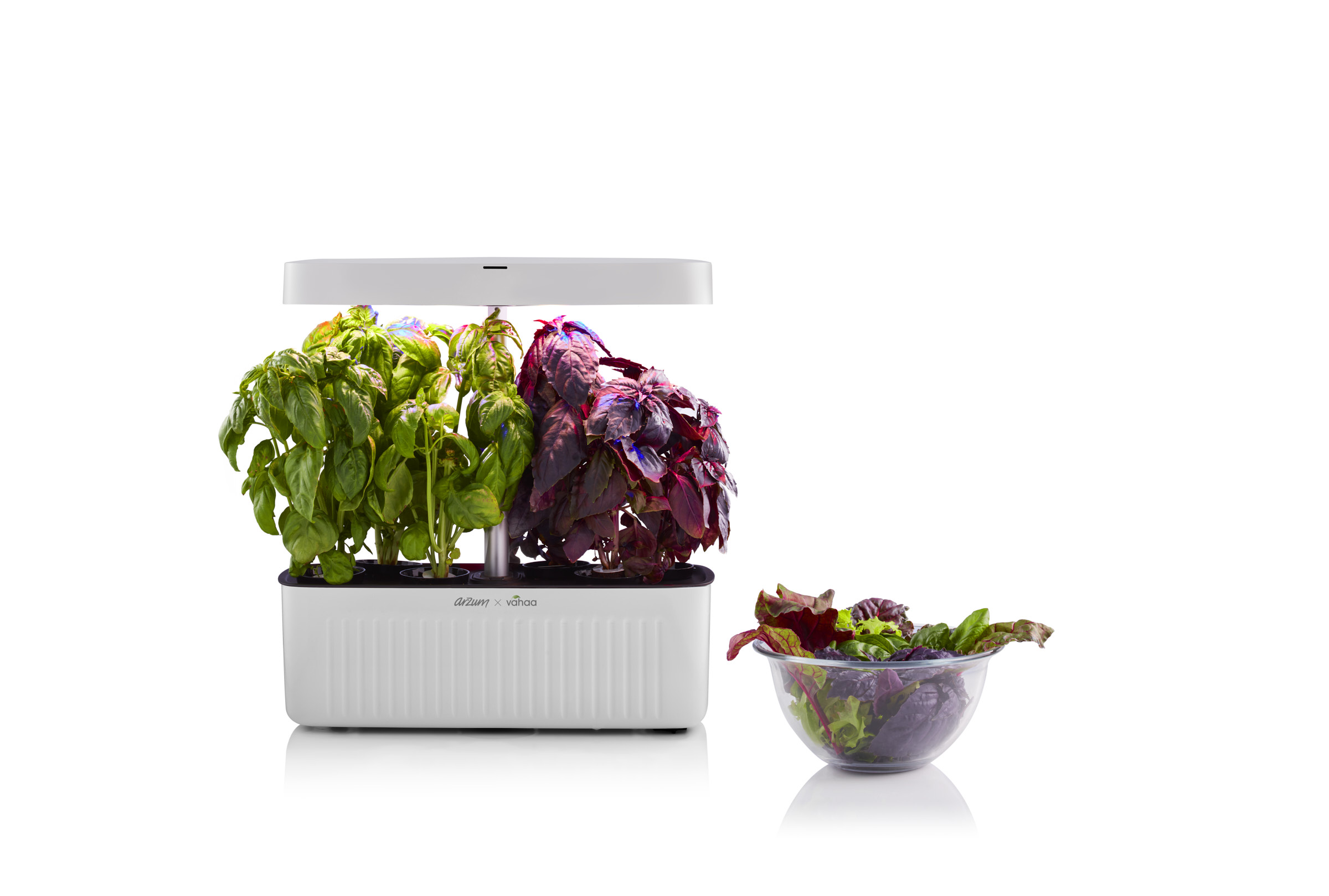 Evde topraksız tarım yapmayı ister misiniz?