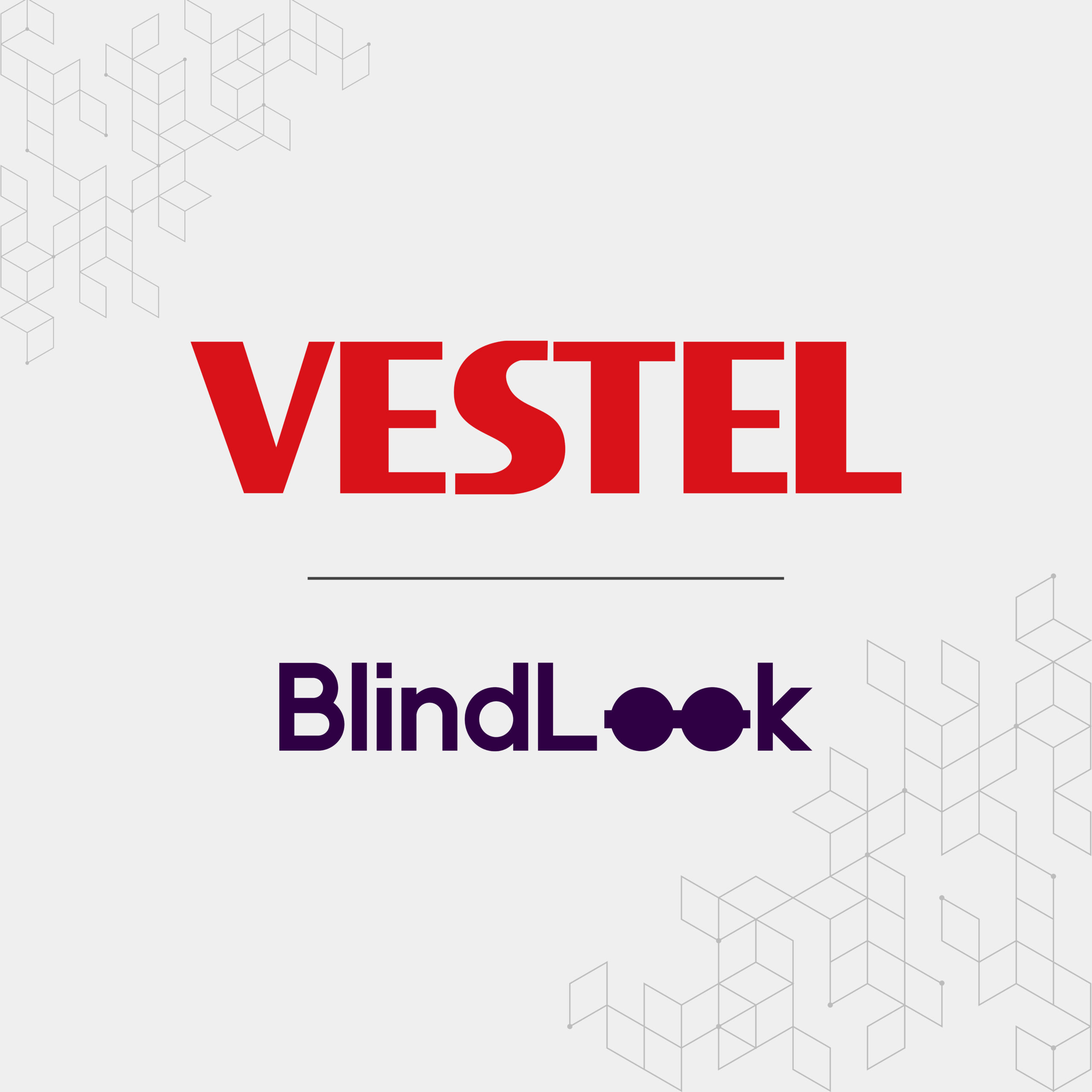 1653982736_blindlook_1 Vestel Blindlook