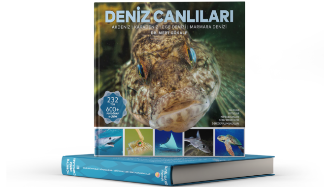 deniz canlıları