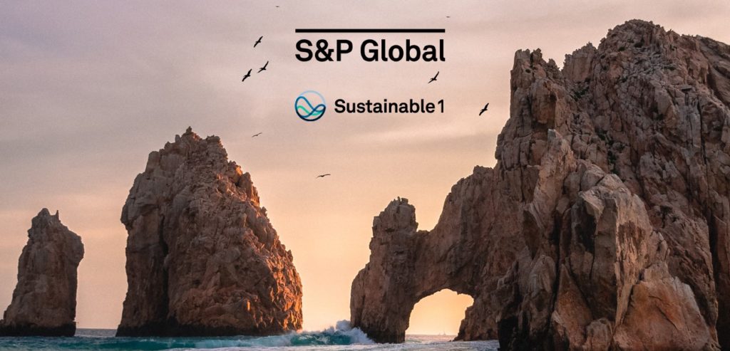 1701079487_Arcelik_DJSI