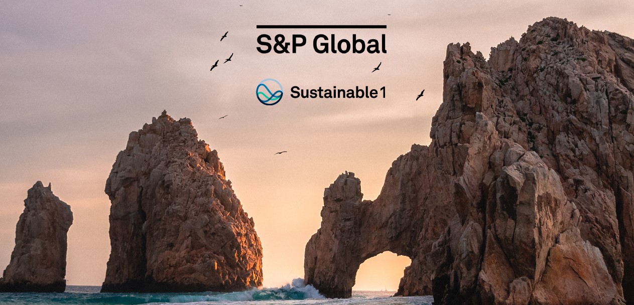 Dünyadaki en saygın Türk şirketi o firma oldu