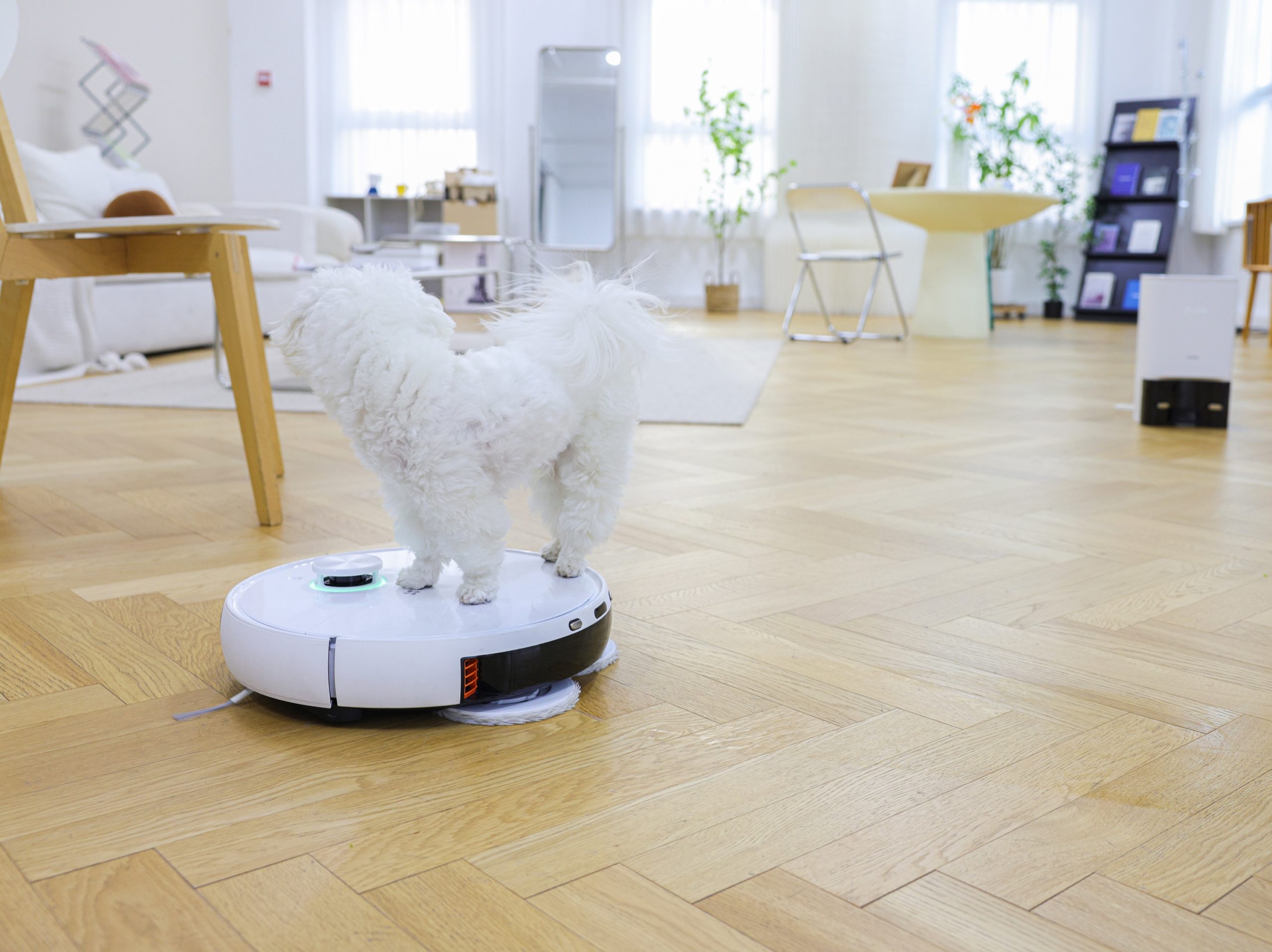 Eller serbest özelliği ile ev temizliğinde yeni dönem açan akıllı temizlik robotu EZVIZ RS2