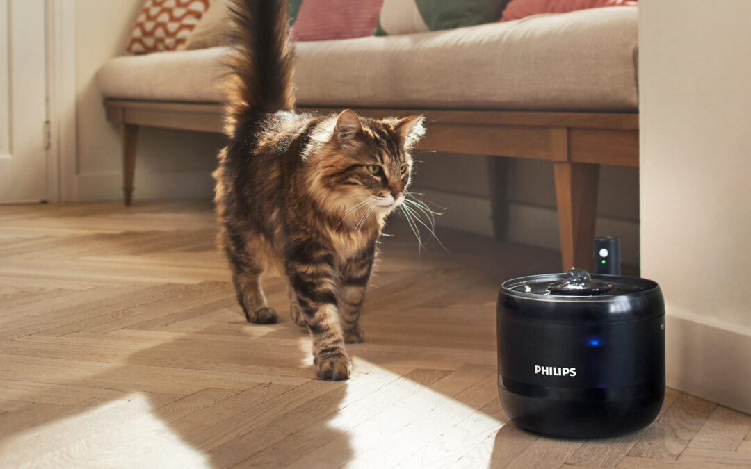 Versuni, Philips Pet serisiyle ENCANDER’in engelli hayvanlara yönelik bakım çalışmalarına destek oluyor